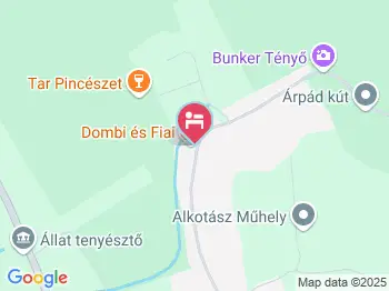 Dombi & Fiai Vendégfogadó Tényő a térképen
