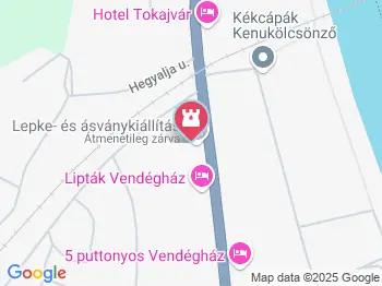 Lepke- és ásványkiállítás Tokaj a térképen