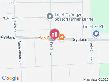 Yes Chef! Újkígyós a térképen