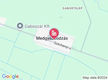 Medgyesbodzás a térképen