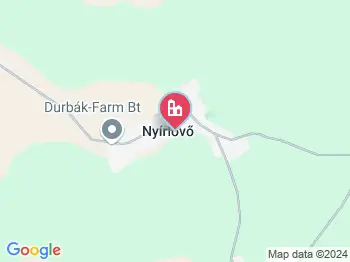 Nyírlövő a térképen