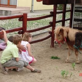Bagolyvár Étterem Inárcs - Egyéb