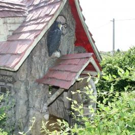 Bagolyvár Inárcs Inárcs - Medence/kert