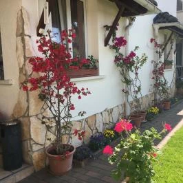 Bagolyvár Inárcs Inárcs - Külső kép