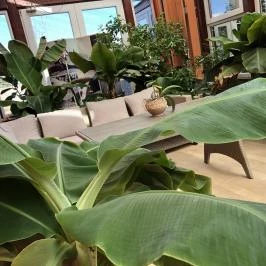 Bagolyvár Inárcs Inárcs - Wellness