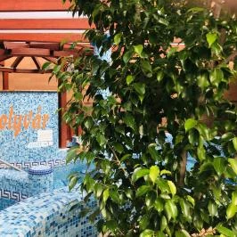 Bagolyvár Inárcs Inárcs - Wellness