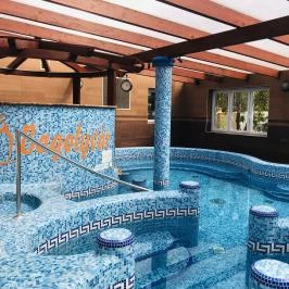 Bagolyvár Inárcs Inárcs - Wellness