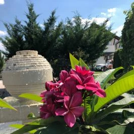 Bagolyvár Inárcs Inárcs - Medence/kert