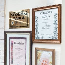 Bagolyvár Inárcs Inárcs - Vendéglátás