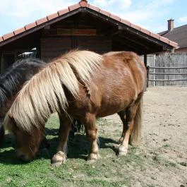 Bagolyvár Inárcs Inárcs - 