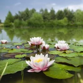 Bodrogi Kúria Wellness Hotel Inárcs - Külső kép