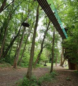 Tuzson lombkorona sétány