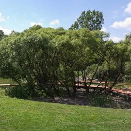 Irota EcoLodge Irota - Medence/kert