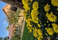 Vidéki Idill Vendégház Izmény