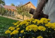 Vidéki Idill Vendégház Izmény