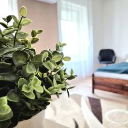 Vidéki Idill Vendégház Izmény - Szobák