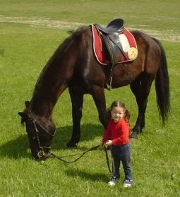 Gedeon Tanya Panzió étterme