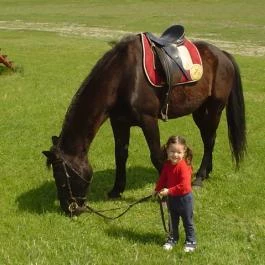 Gedeon Tanya Panzió étterme Jakabszállás - Egyéb