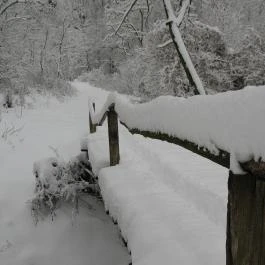 Erdőalja Vendégház Jásd - Egyéb