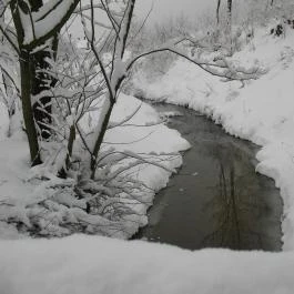 Erdőalja Vendégház Jásd - Egyéb