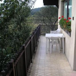 Erdőalja Vendégház Jásd - Medence/kert