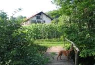 Erdőalja Vendégház Jásd