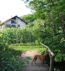 Erdőalja Vendégház