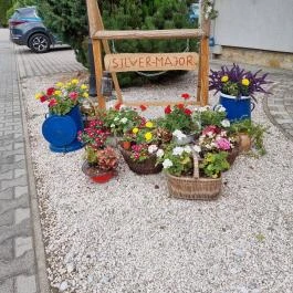 Silver Major Kaba - Egyéb