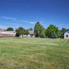 Silver Major Kaba - Medence/kert