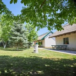 Silver Major Kaba - Medence/kert