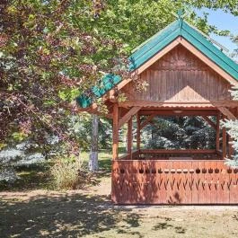 Silver Major Kaba - Medence/kert