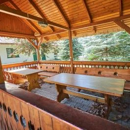 Silver Major Kaba - Medence/kert