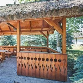 Silver Major Kaba - Medence/kert