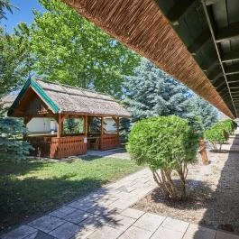 Silver Major Kaba - Medence/kert