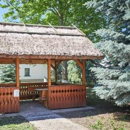 Silver Major Kaba - Medence/kert