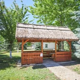 Silver Major Kaba - Medence/kert