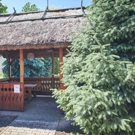 Silver Major Kaba - Medence/kert