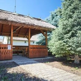 Silver Major Kaba - Medence/kert