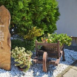 Silver Major Kaba - Medence/kert