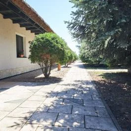 Silver Major Kaba - Medence/kert