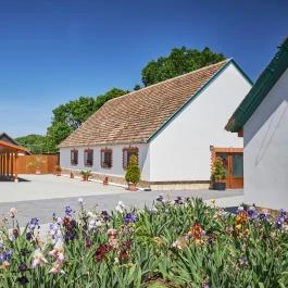 Silver Major Kaba - Medence/kert