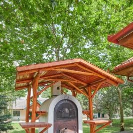 Silver Major Kaba - Medence/kert