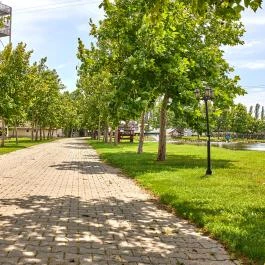 Silver Major Kaba - Medence/kert