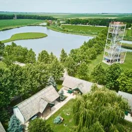 Silver Major Kaba - Egyéb