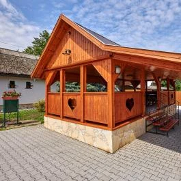 Silver Major Kaba - Medence/kert