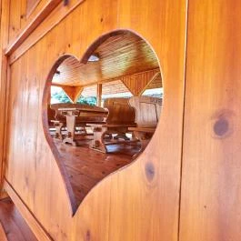 Silver Major Kaba - Medence/kert