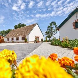 Silver Major Kaba - Medence/kert