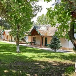 Silver Major Kaba - Medence/kert