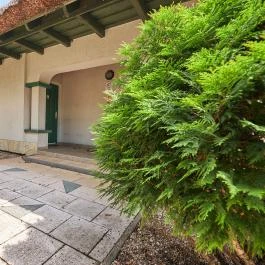 Silver Major Kaba - Külső kép