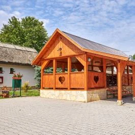 Silver Major Kaba - Medence/kert